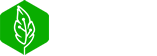 Grupo Paico 